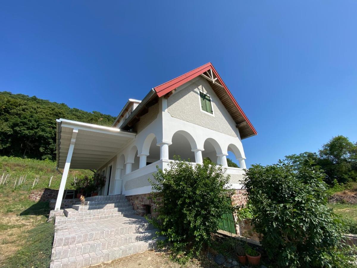 Chateau Segesdi Borapartman Gyulakeszi Екстер'єр фото